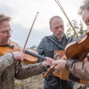 Avatar for Rena Rama