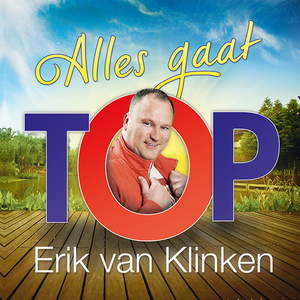Artwork for Alles gaat Top