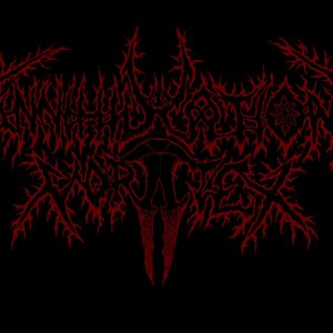 Avatar for Annihilation Vortex