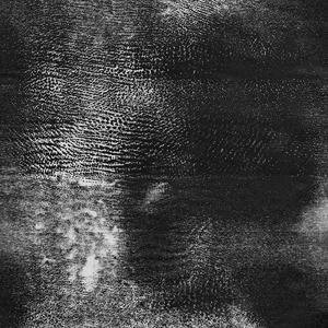Despite Faith cover