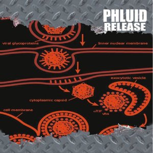 Release