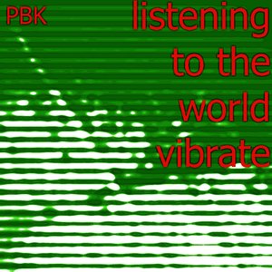 Listening To The World Vibrate