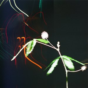 Night Things... - Single