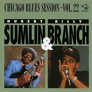 Chicago Blues Session vol.22