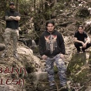 Reborn in Flesh 的头像