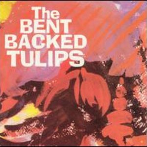 Avatar di Bent Backed Tulips