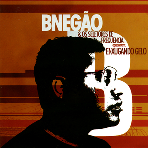 Enxugando gelo cover
