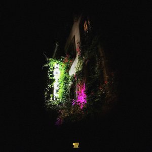 Fallin' in Love - Single