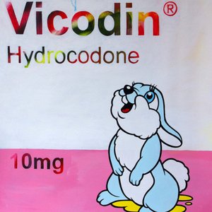 Vicodin Hydrocodone