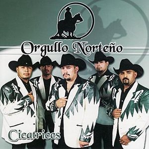 Cicatrices