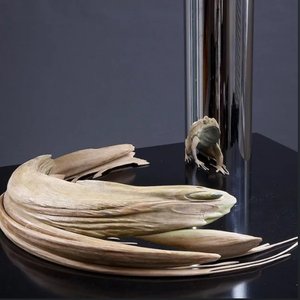 anamorphosis