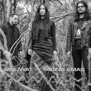 Taring Emas