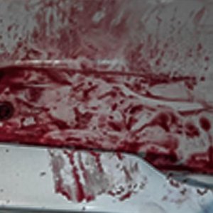 Awatar dla Seldomsleight