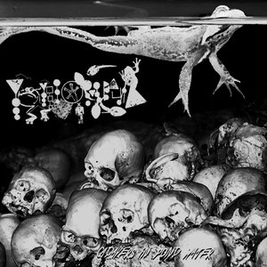 Cadavers In Pond Water