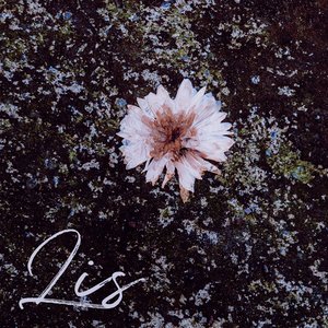 Lis