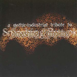 Gothic Industrial Tribute to the Smashing Pumpkins