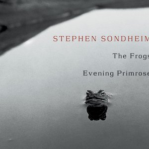 'The Frogs / Evening Primrose' için resim