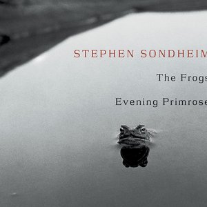 Image for 'The Frogs / Evening Primrose'