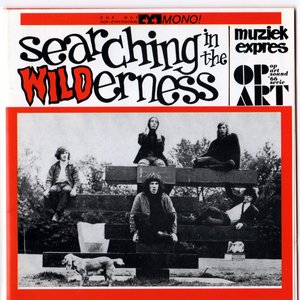 Searching In The Wilderness