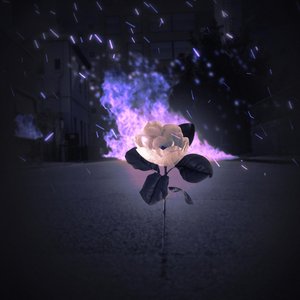 Home - Single