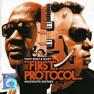 First Protocol: Incognito Guitars