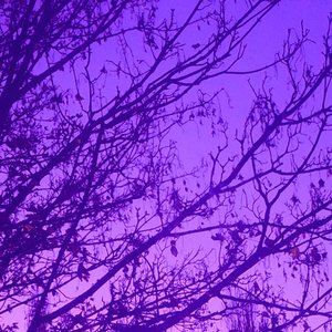 anhedonia