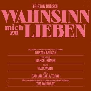 Wahnsinn mich zu lieben - Single