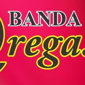 Brega.com 的头像