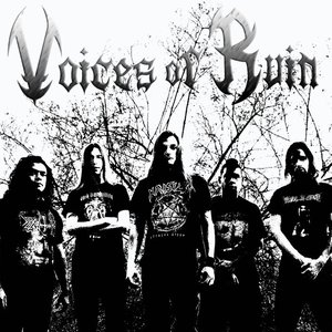 Voices Of Ruin のアバター