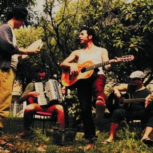 Pachira için avatar