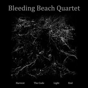 Avatar for Bleeding Beach Quartet