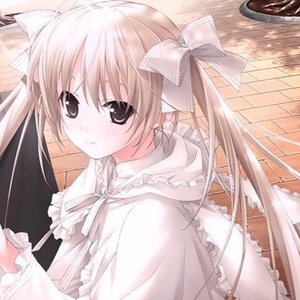 Perfección Online