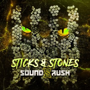 Sticks & Stones - Single