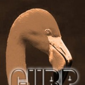 Gurp 的头像