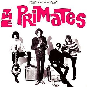 We Are The Primates