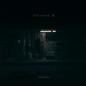 Nocturnal 夜