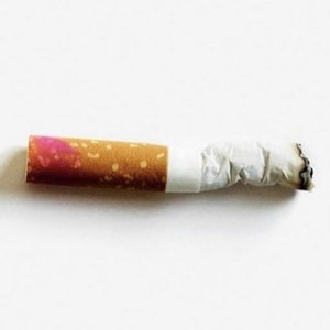 BURNED TO ASHES