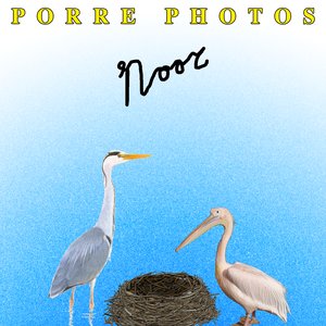 Noor