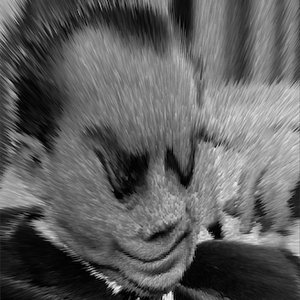Avatar for Lucy Thorkelson