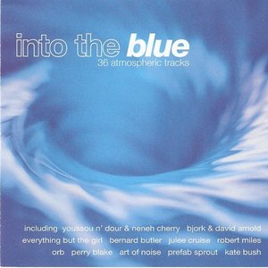 Image for 'Into the Blue'