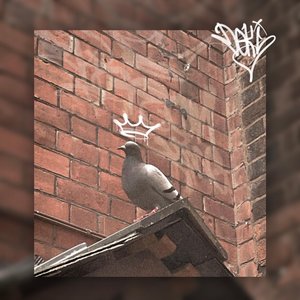 Ballad of the Pigeon King