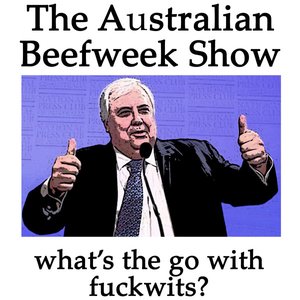 What's The Go With Fuckwits?
