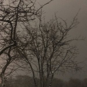 A Letter From the Silent Village - EP