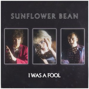 I Was a Fool - Single