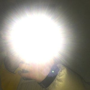 Solosis 的头像