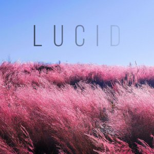 Lucid