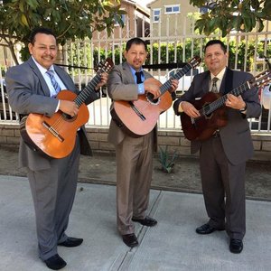 Trio Rayos De Luz 的头像