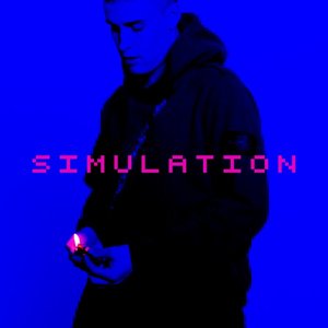 Simulation