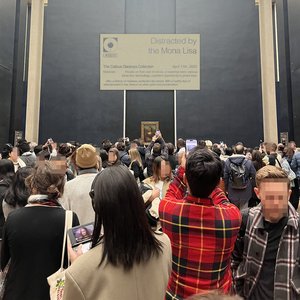 Distracted by the Mona Lisa