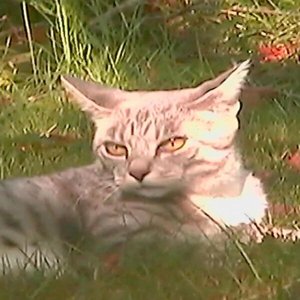 Wake up, it's September